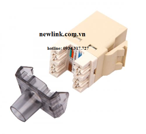 Nhân WallPale RJ45,Nhân mạng AMP RJ 45 USA chân đồng